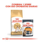 Royal Canin Adult Siamese pienso para gatos, , large image number null